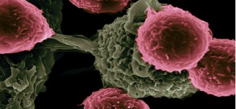 Big Data For Complex Disease