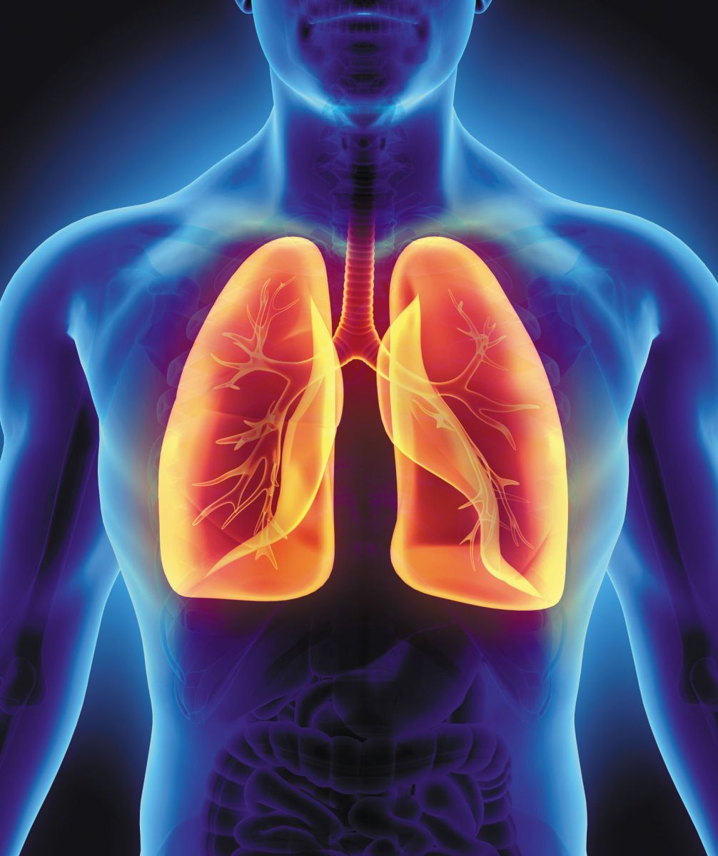 Breathe: Respiratory Health